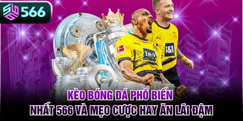 Kèo Bóng Đá Phổ Biến Nhất 566 Và Mẹo Cược Hay Ăn Lãi Đậm