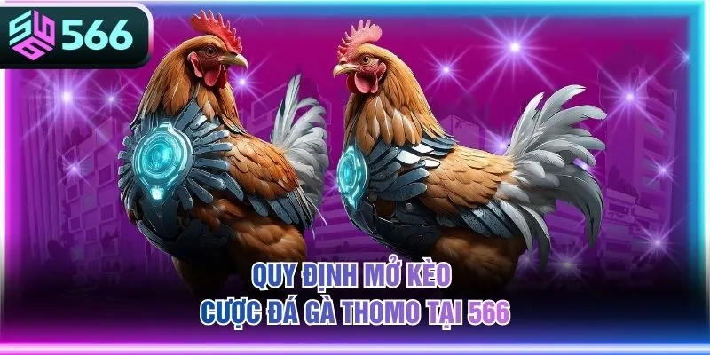 Quy định mở kèo cược đá gà Thomo tại 566